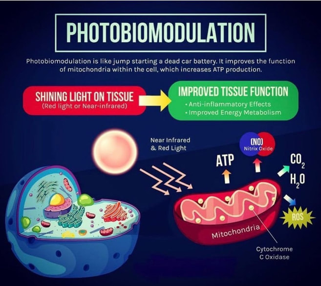 Photobiomodulation - Light Therapy
